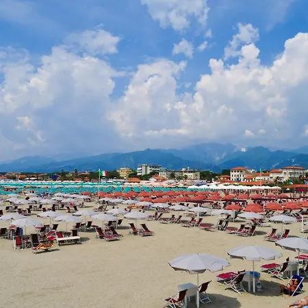 Terrazza Apuana A Few Steps From The Sea - Happy Apartment