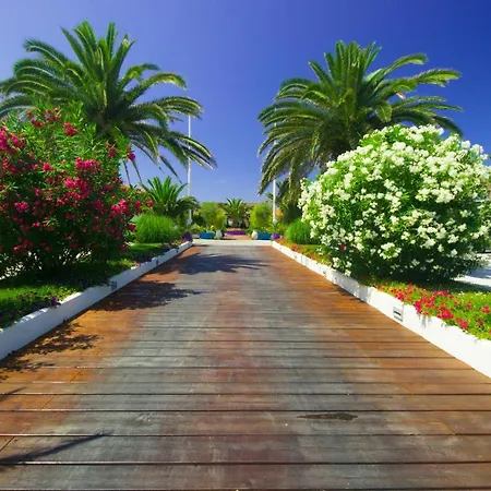 Apartment Terrazza Apuana A Few Steps From The Sea - Happy *